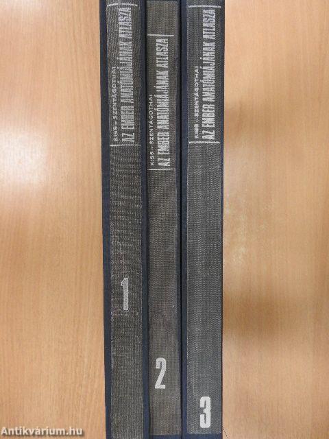 Az ember anatómiájának atlasza 1-3.