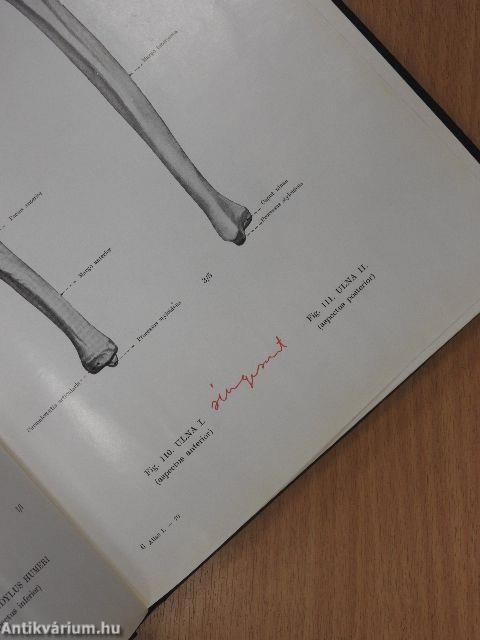 Az ember anatómiájának atlasza 1-3.