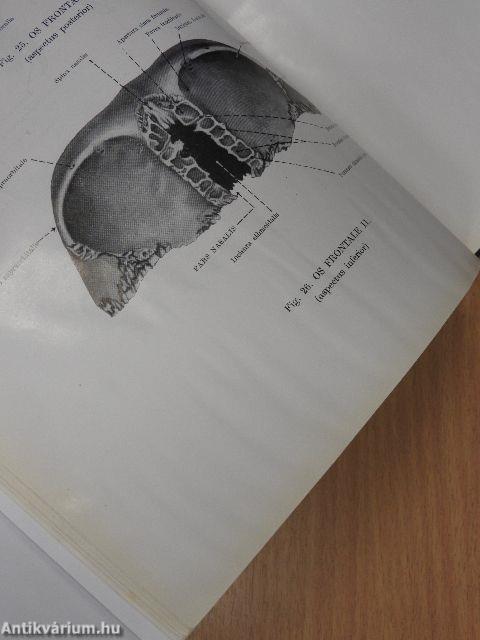 Az ember anatómiájának atlasza 1-3.