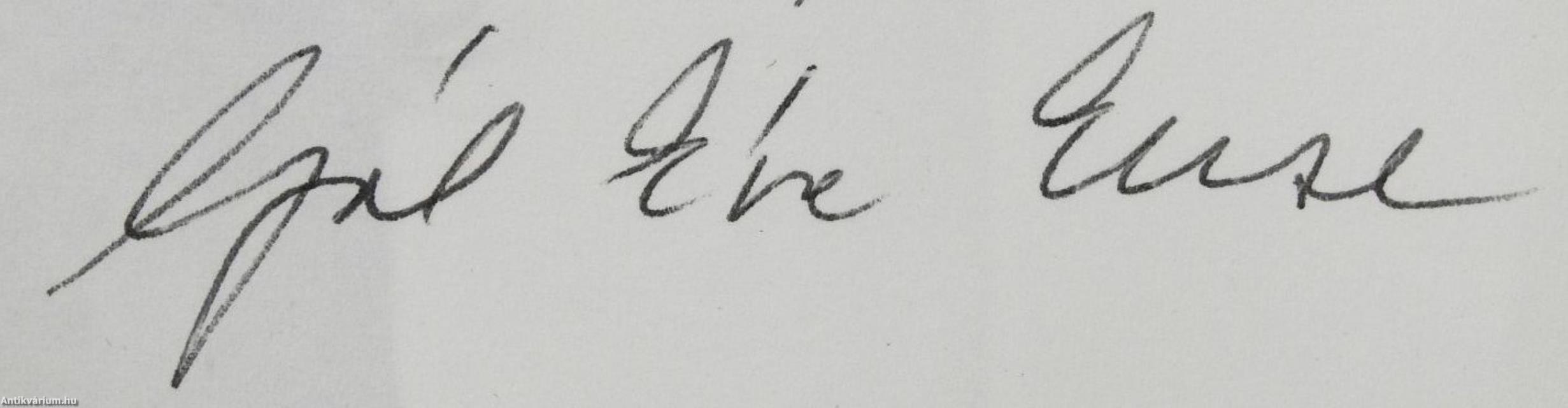 Vízesések (dedikált példány)