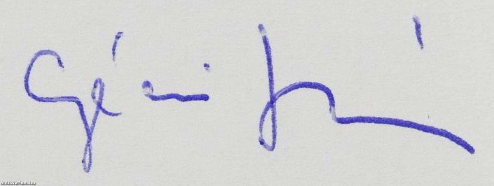 Magánkönyv (dedikált példány)