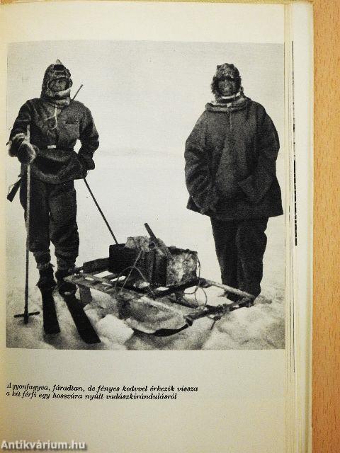 Asszony az Arktiszon