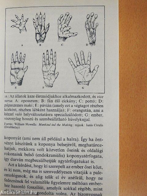 Az éden sárkányai