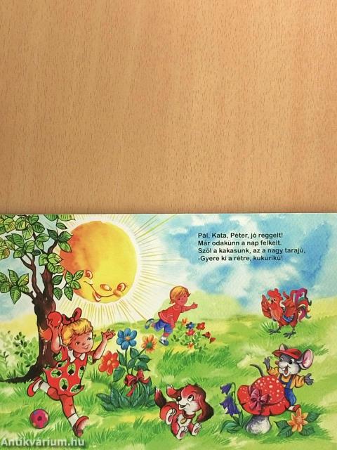 Csip, csip, csóka...