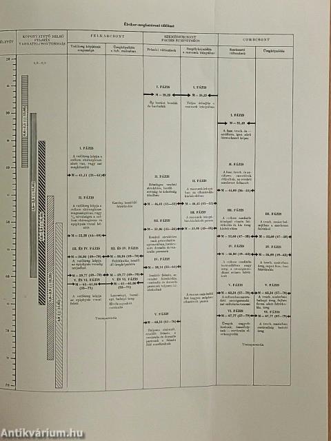 Igazságügyi orvostan