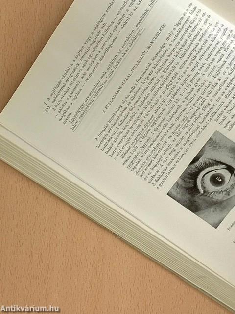 Igazságügyi orvostan