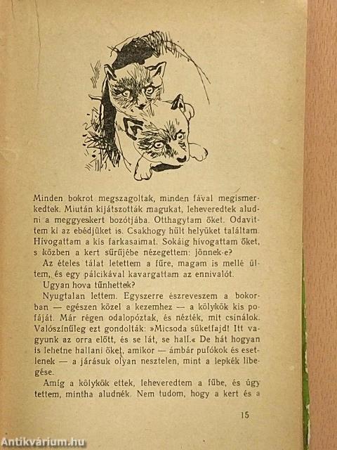 Négy kislány és sok kis állat