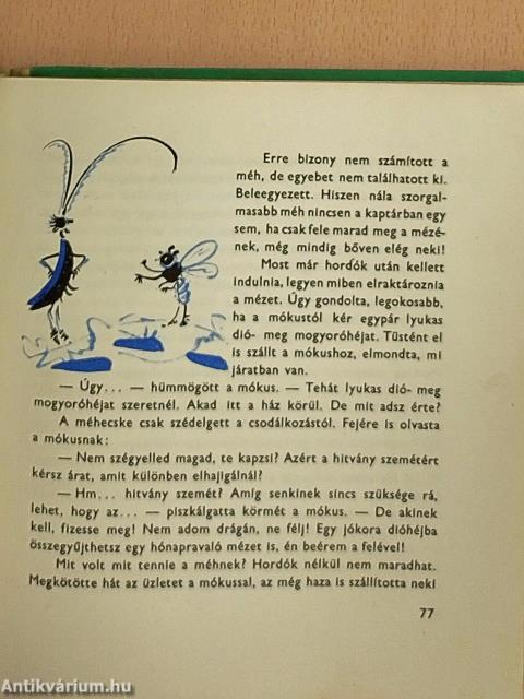Kökörcsin, a király bolondja