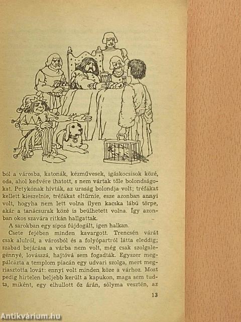 Holló Csete, a besenyő