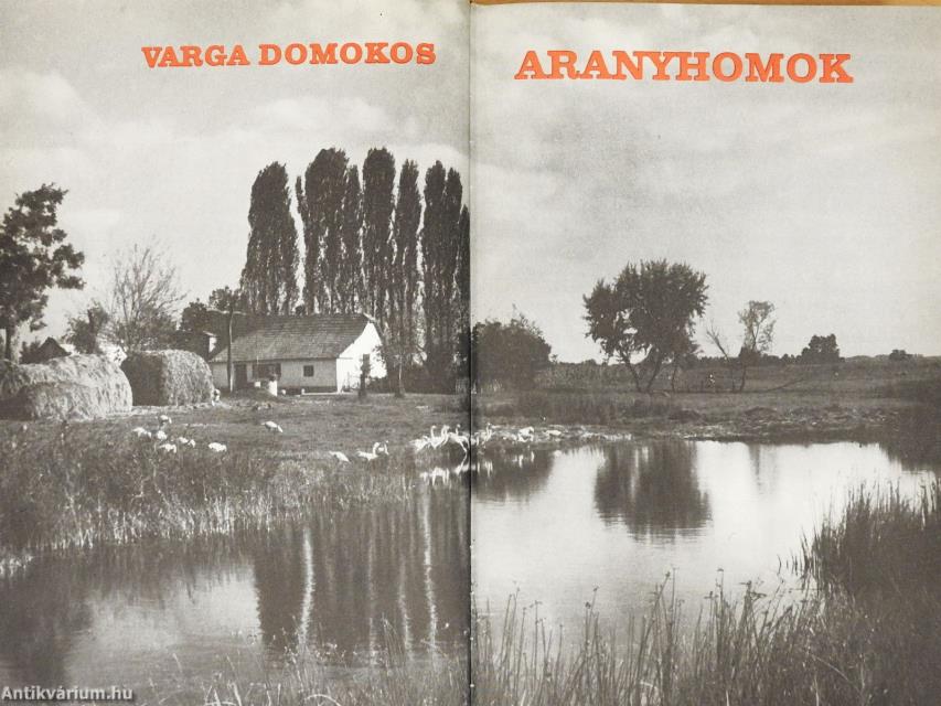 Aranyhomok (dedikált példány)