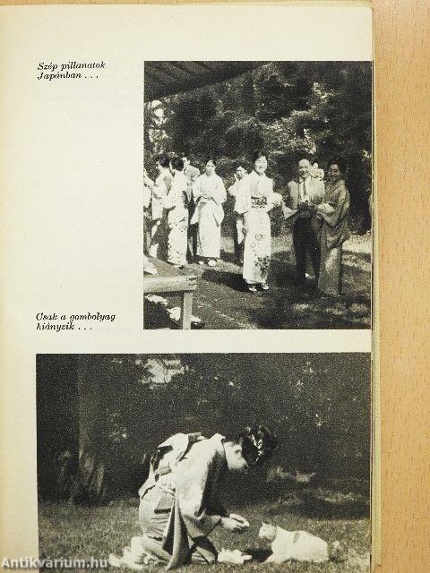 Gésák, pagodák, titkok