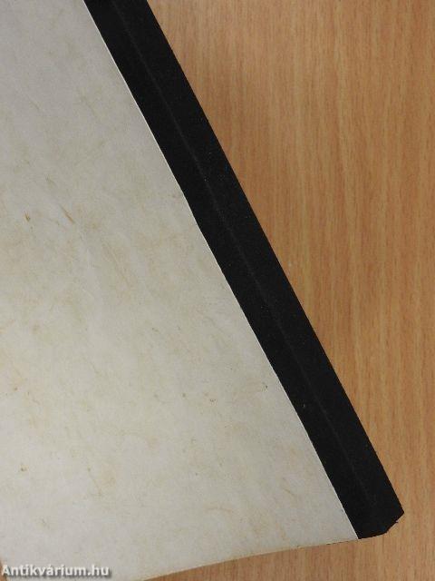 Barátom a motorkerékpár