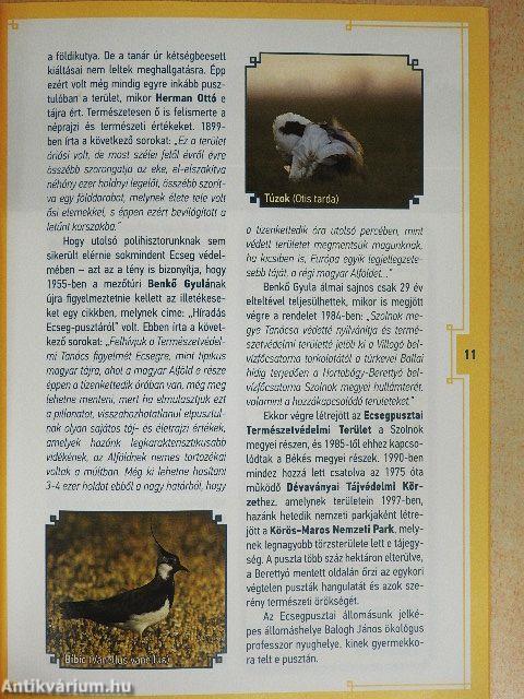 Túravezető Túrkeve körül