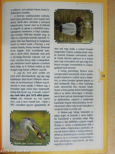 Túravezető Túrkeve körül