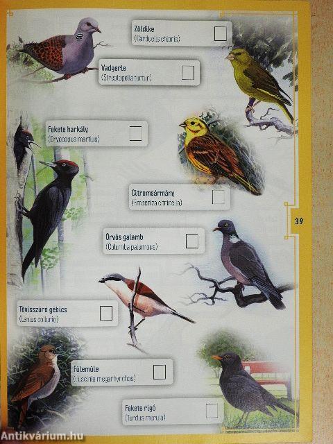 Túravezető Túrkeve körül