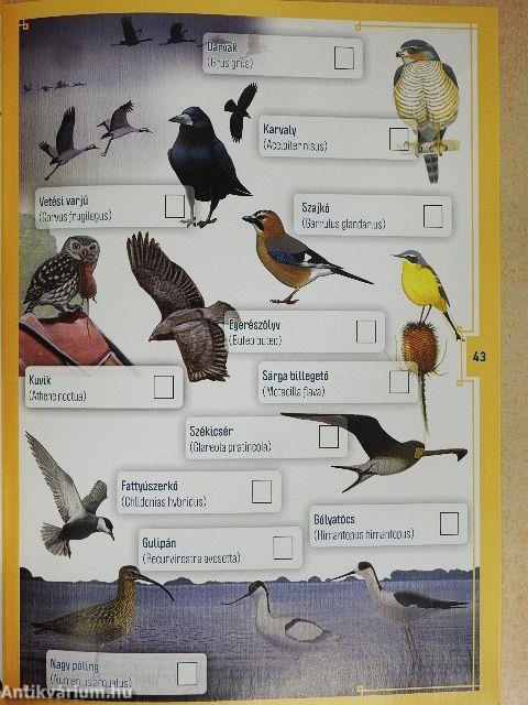 Túravezető Túrkeve körül