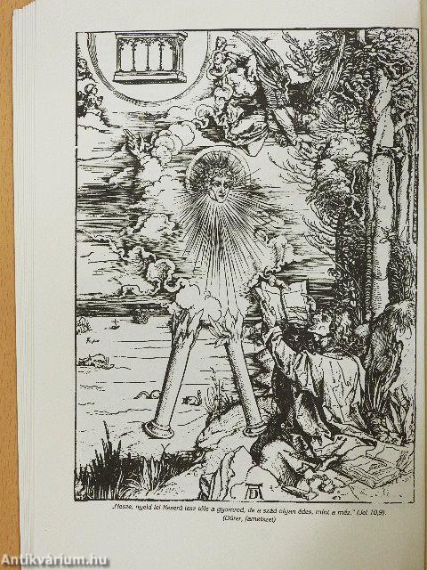 A Jelenések könyve