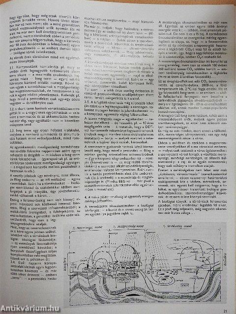 Városépítés 1971/2.