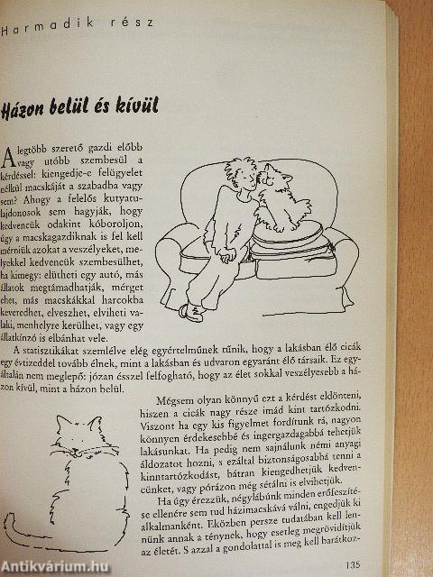 Hogyan beszéljünk a macskánkkal