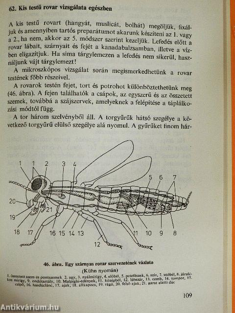 A mikroszkóp használata