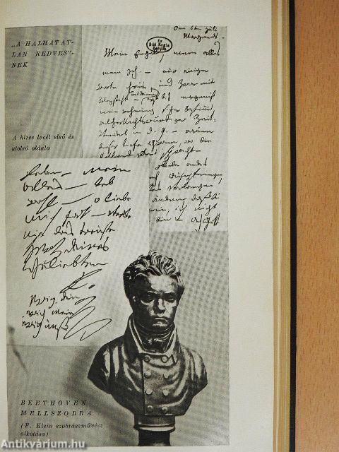 Beethoven élete leveleiben