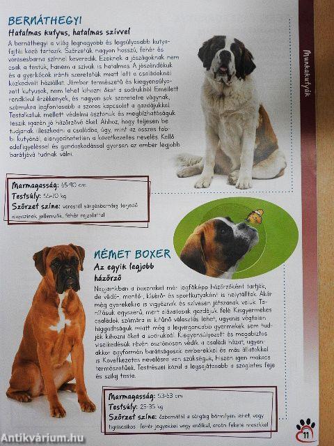 Hűséges barátaink