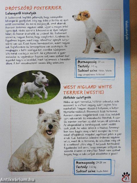 Hűséges barátaink