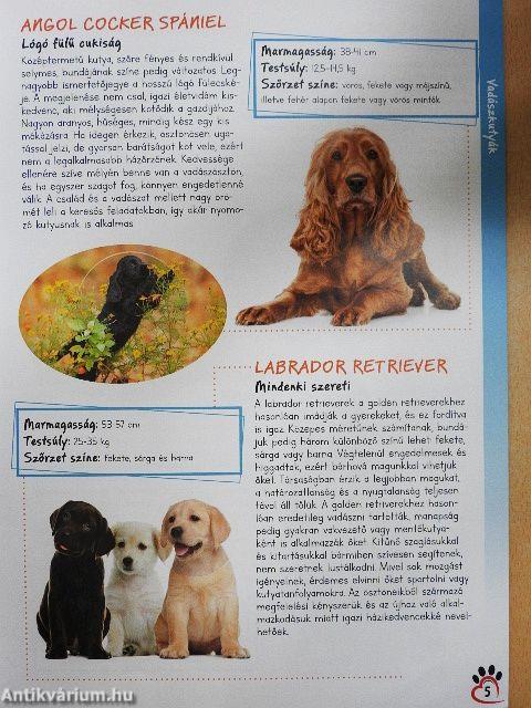 Hűséges barátaink