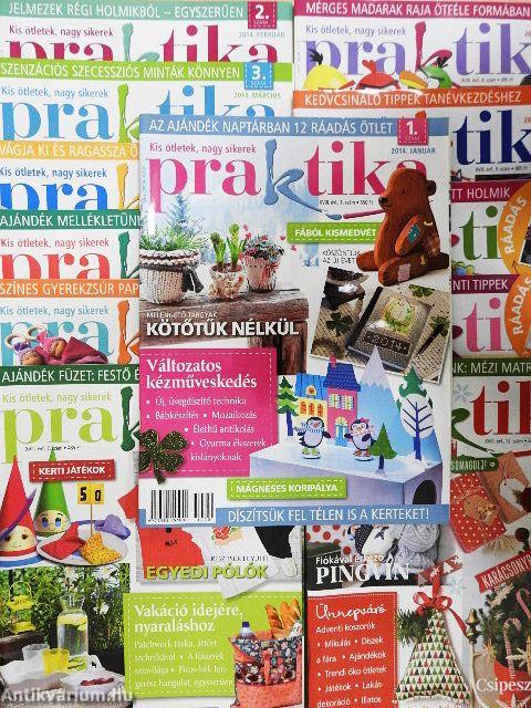 Praktika 2014. január-december
