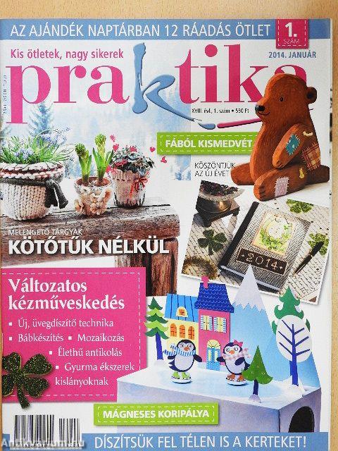 Praktika 2014. január-december