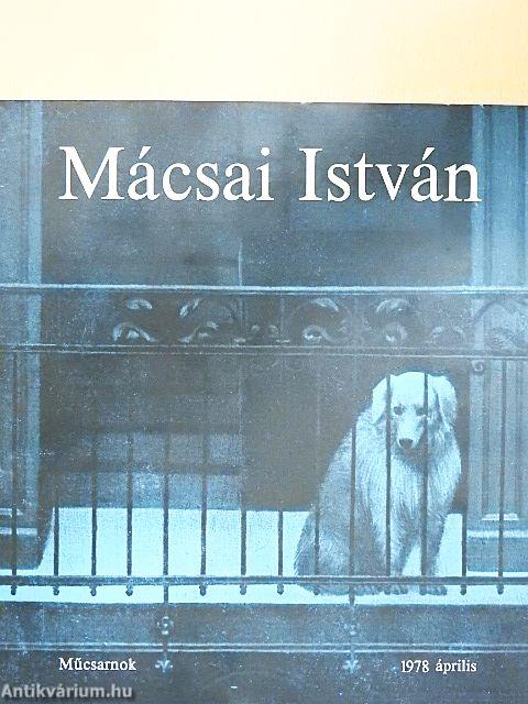Mácsai István