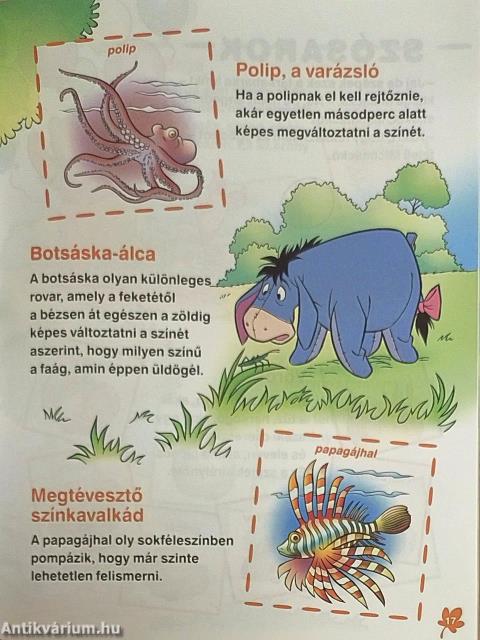 A szivárvány színei