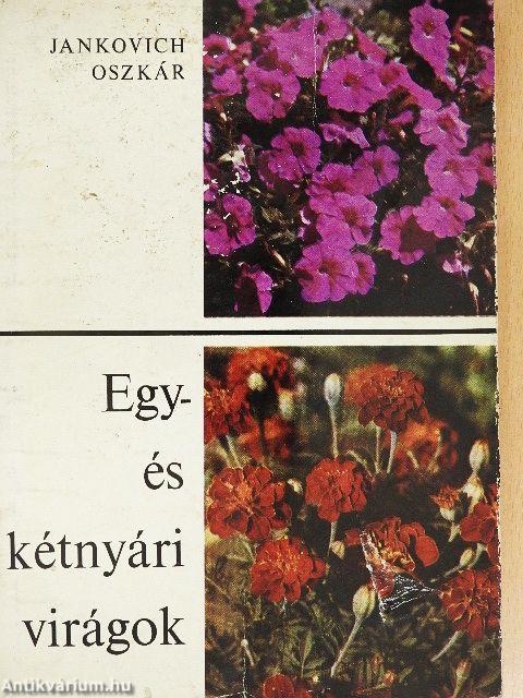 Egy- és kétnyári virágok