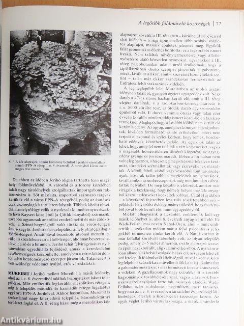 A múlt születése 1-20.