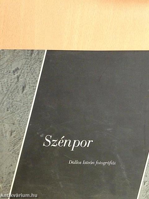 Szénpor
