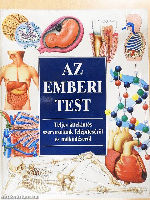 Az emberi test