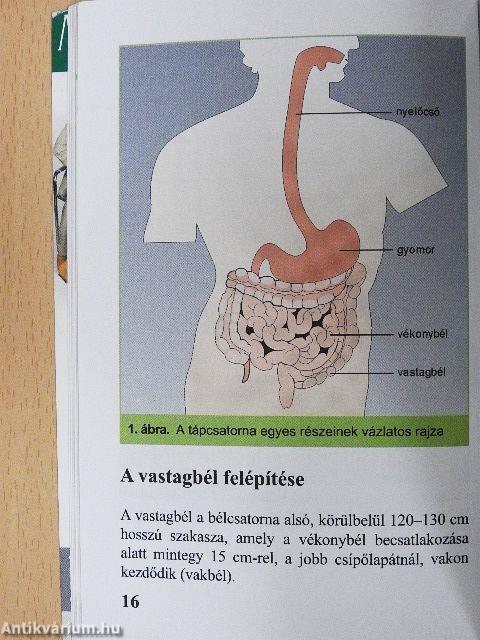 Hasfájás, puffadás - irritábilis bél szindróma?