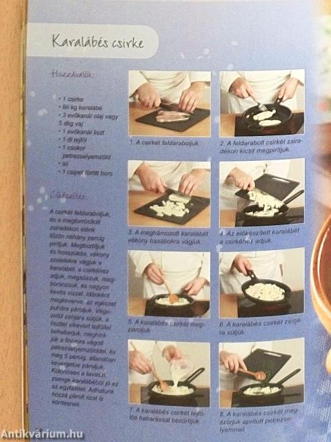 Szárnyas finomságok