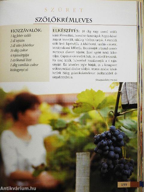 A konyhaablakból