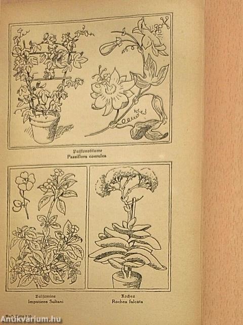 Das neue Gartenbuch (gótbetűs)
