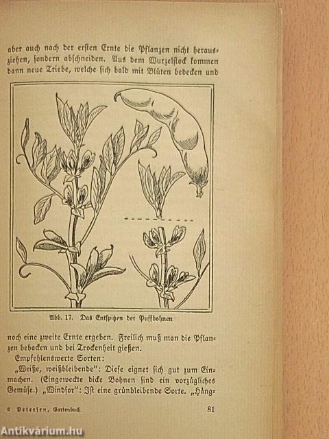 Das neue Gartenbuch (gótbetűs)