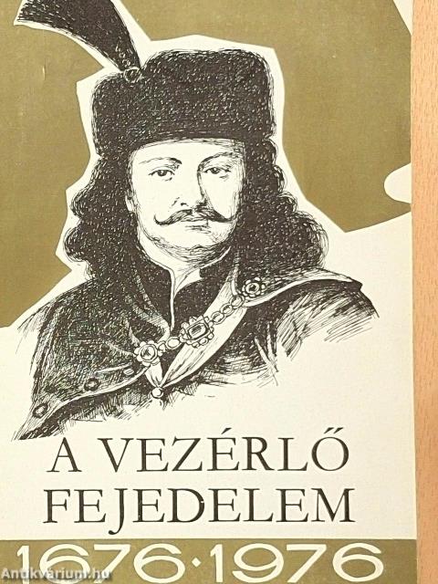 A vezérlő fejedelem