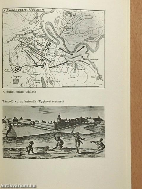 A vezérlő fejedelem