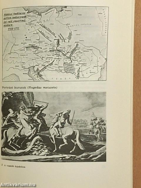 A vezérlő fejedelem