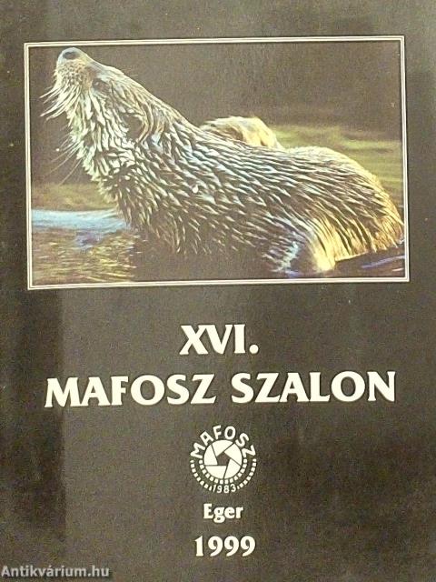 XVI. MAFOSZ Szalon
