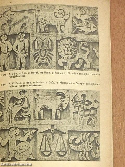 Tájékozódás a csillagos égen