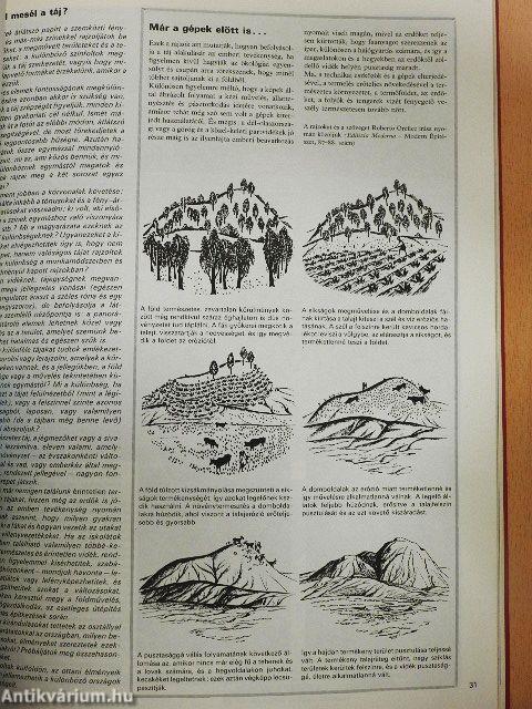 Nézz, láss, kérdezz I-III.