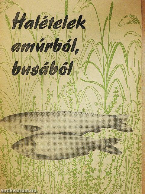 Halételek amúrból, busából