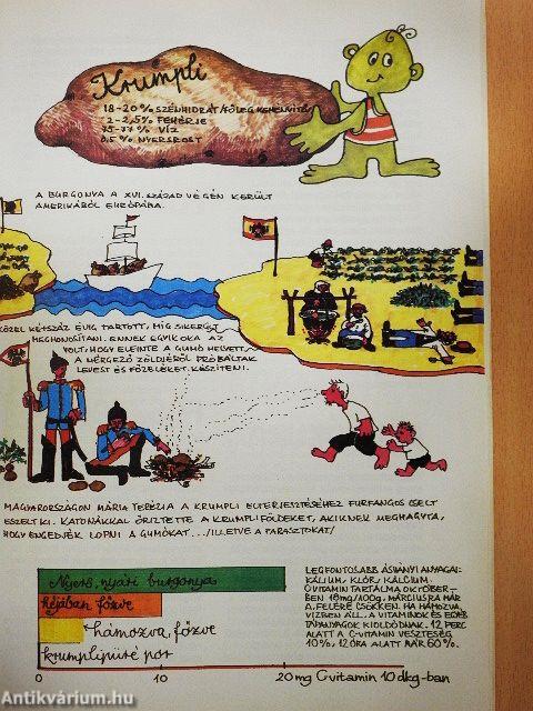 Hamm táplálkozási kislexikon