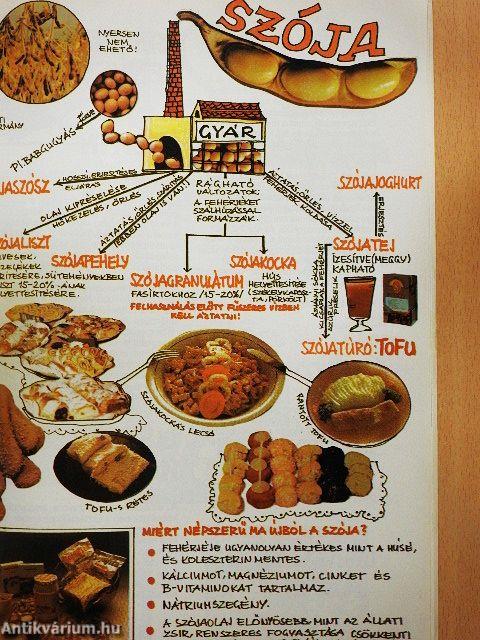 Hamm táplálkozási kislexikon